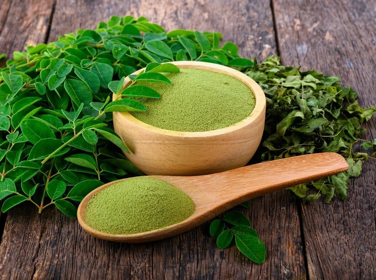 گیاه مورینگا