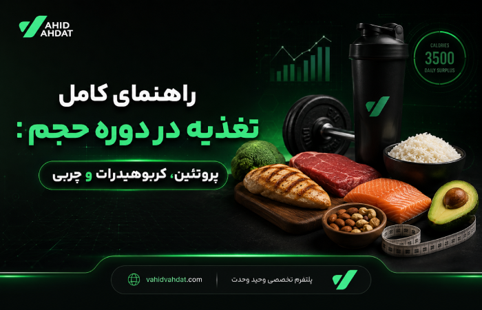 راهنمای کامل تغذیه در دوره حجم: پروتئین، کربوهیدرات و چربی